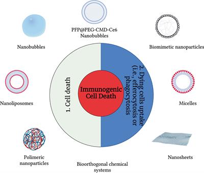 Immunogenic Cell Death and Role of Nanomaterials Serving as Therapeutic Vaccine for Personalized Cancer Immunotherapy